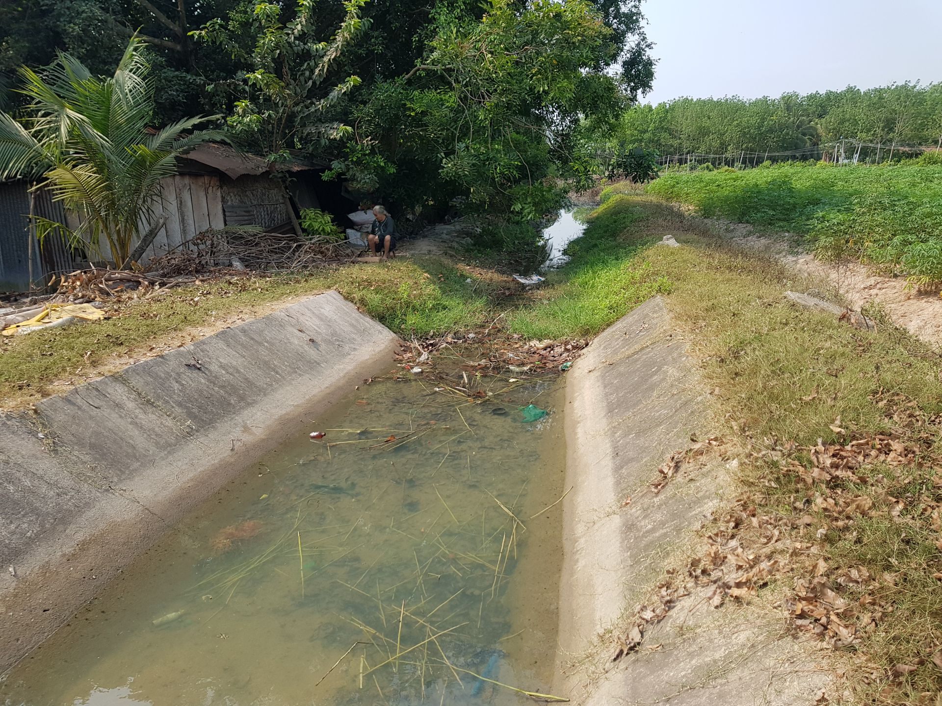 Mương thủy lợi Động lực phát triển nông nghiệp bền vững